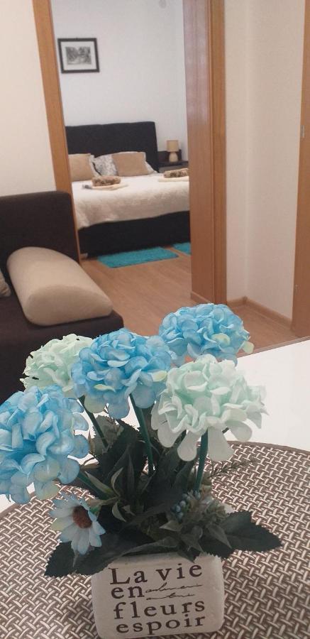 Apartman Golubovic Veliko Gradište Buitenkant foto